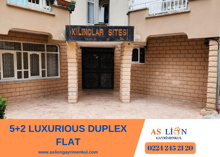 5+2 LUXURIOUS DUPLEX FLAT